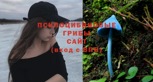 ALPHA PVP Алзамай