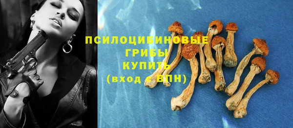 твердый Алексеевка