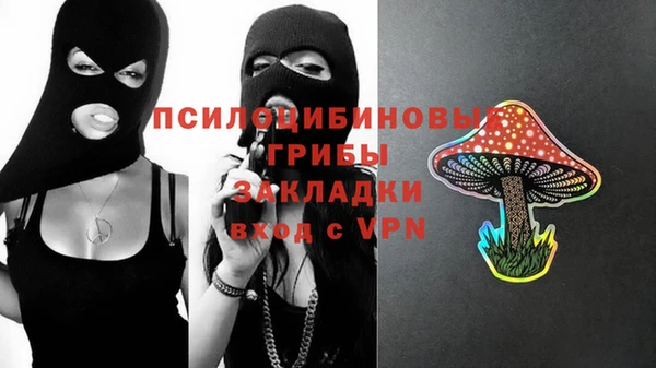 твердый Алексеевка