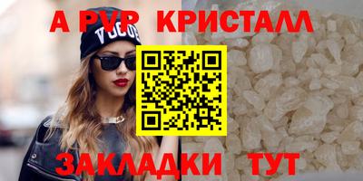стафф Абакан