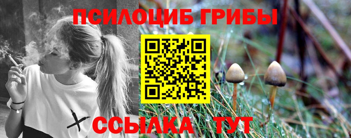 Псилоцибиновые грибы Psilocybine cubensis Балабаново
